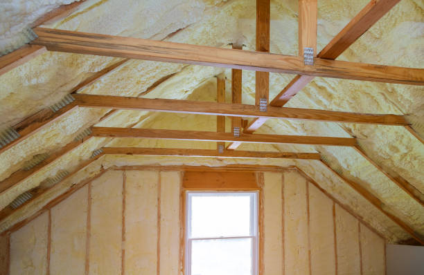 Best Residential Insulation in Cedaredge, CO